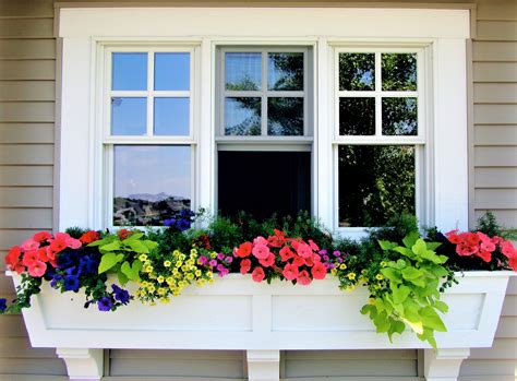 window boxes